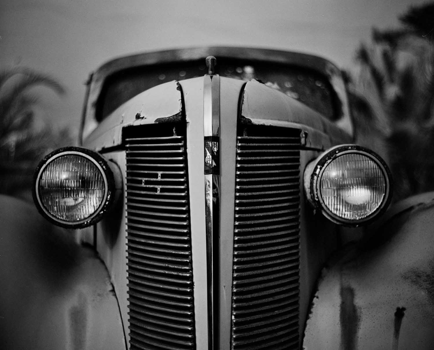 Rollei Infrared example 1